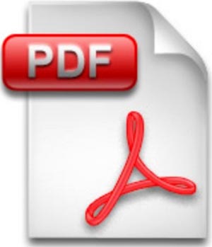 Icono_pdf.jpg (300×349)